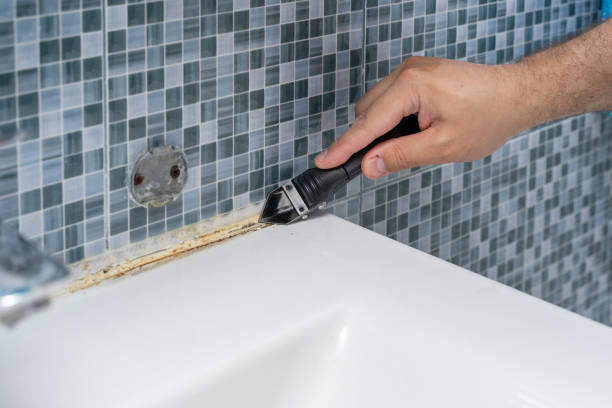 Mold Removal and Inspection in Bellaire, TX